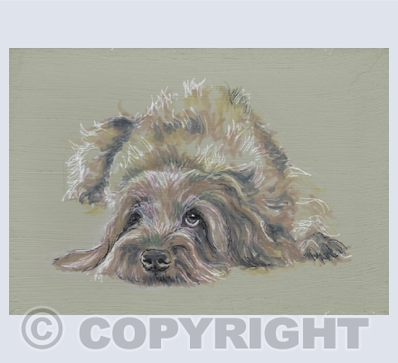 let sleeping dogs lie