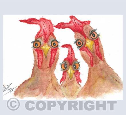 hens