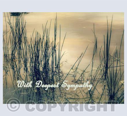 Sympathy and Condolences Cards