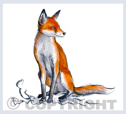 ANIMAL SKETCHES