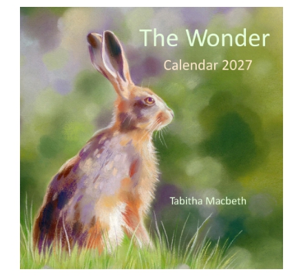 The Wonder