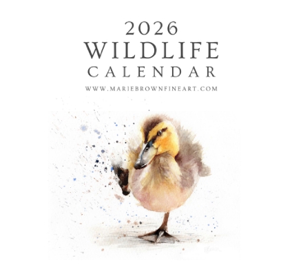 2026 Wildlife Calendar