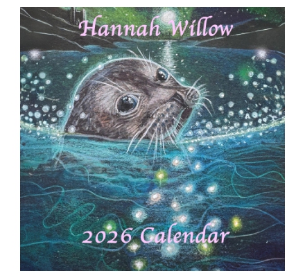 Hannah Willow 2026 Image Calendar
