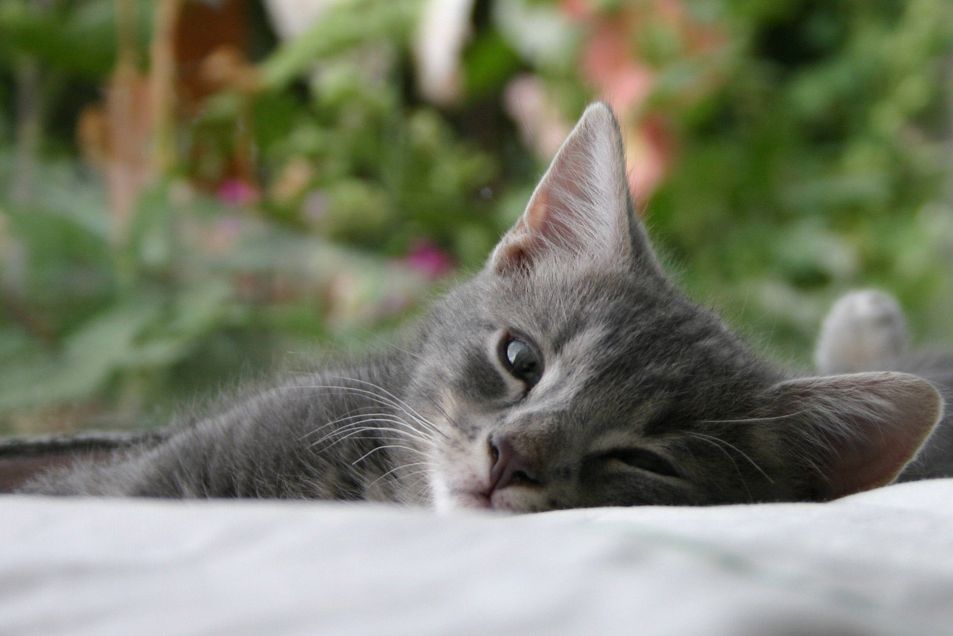 Love From The Artist