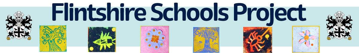 Flintshire schools project